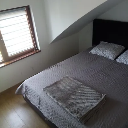 Petrovic Apartament *