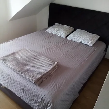 Petrovic Apartament *