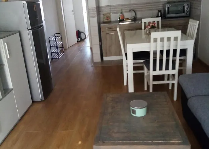 Petrovic Apartman Vrnjačka Banja